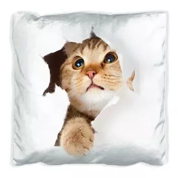 Подушка Wallario Premium, мягкая поверхность, с мотивом «Кошка смотрит вверх», размер: 60 x 60 см, с белой спинкой