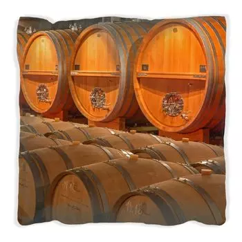 Подушка Wallario Premium, мягкая поверхность, с мотивом винного погреба и старинными деревянными бочками, размер: 60 x 60 см, с белой спинкой