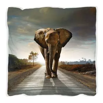 Подушка Wallario Premium, мягкая поверхность, с мотивом слона на рассвете в Африке, размер: 60 x 60 см, с белой спинкой