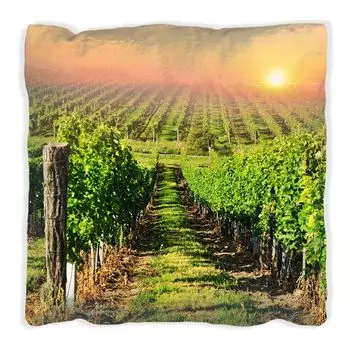 Подушка Wallario Premium, мягкая поверхность, с мотивом виноградника и заходящего солнца, размер: 60 x 60 см, с белой спинкой