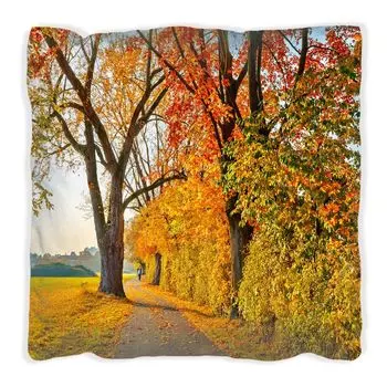 Подушка Wallario Premium, мягкая поверхность, с мотивом осенней лесной тропинки и разноцветными листьями, размер: 60 x 60 см, с белой спинкой