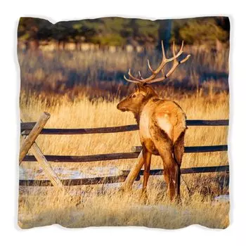 Подушка Wallario Premium, мягкая поверхность, с мотивом лося в снегу - в высокогорьях Колорадо, размер: 60 х 60 см, с белой спинкой