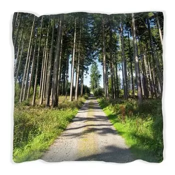 Подушка Wallario Premium, мягкая поверхность, с мотивом Silent Forest Path, размер: 60 x 60 см, с белой спинкой