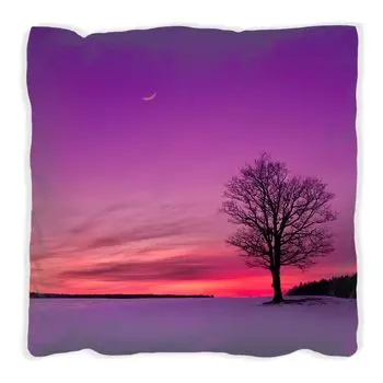 Подушка Wallario Premium, мягкая поверхность, с мотивом луны и деревьев вечером в снегу, размер: 40 x 40 см, с белой спинкой