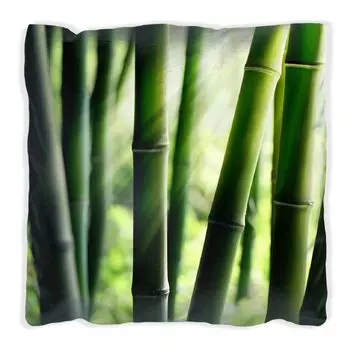 Подушка Wallario Premium, мягкая поверхность, с мотивом бамбукового леса и солнечных лучей, размер: 40 x 40 см, с белой спинкой