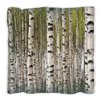 Подушка Wallario Premium, мягкая поверхность, с мотивом березового леса - стволы деревьев в черно-белом цвете, размер: 30 х 30 см, с белой спинкой