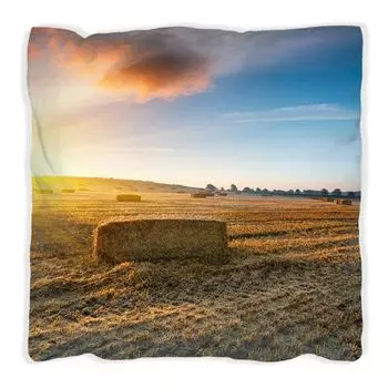 Подушка Wallario Premium, мягкая поверхность, с мотивом «солома в поле на закате», размер: 40 x 40 см, с белой спинкой