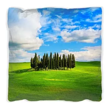 Подушка Wallario Premium, мягкая поверхность, с небольшим лесным мотивом посреди широкой поляны, размер: 30 х 30 см, с белой спинкой