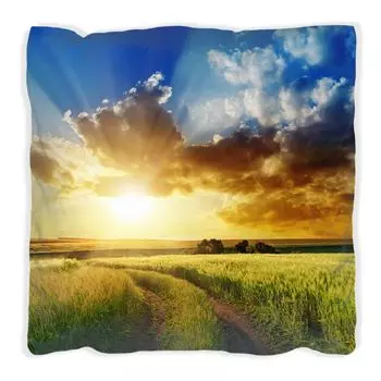 Подушка Wallario Premium, мягкая поверхность, с полевой дорожкой и мотивом заката, размер: 40 x 40 см, с белой спинкой