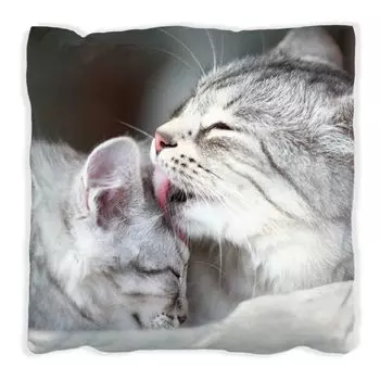 Подушка Wallario Premium, мягкая поверхность, с рисунком милого полосатого котенка, размер: 40 x 40 см, с белой спинкой