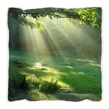 Подушка Wallario Premium, мягкая поверхность, с солнечными лучами и лесным мотивом, размер: 60 х 60 см, с белой спинкой