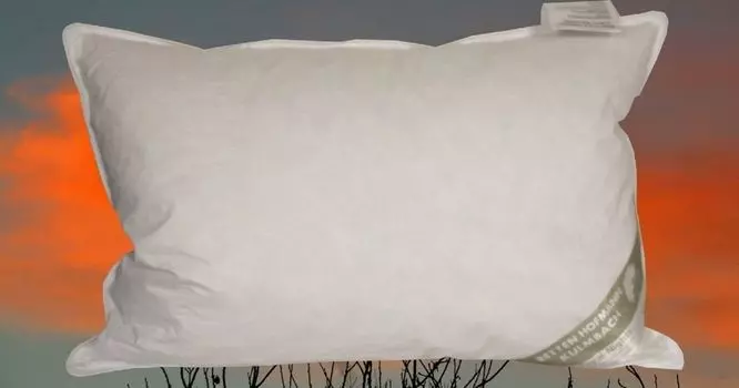 Подушка ЯПОНИЯ подушка пуховая подушка 43х63 см 100% пух пушистый мягкий 300 г мягкий Betten Hofmann