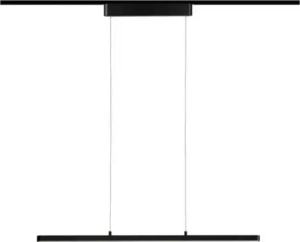 Подвесной светильник Paulmann, черный