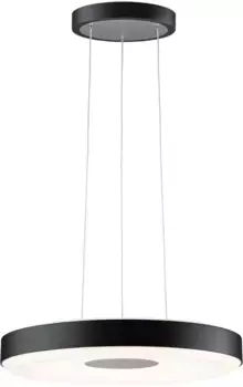 Подвесной светильник Paulmann "Puric Pane", 1 лампочка, светодиод, с регулировкой яркости, черный, серый, металл 40,0 см, черный/серый