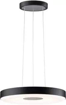 Подвесной светильник Paulmann "Puric Pane", 1 лампочка, черный, серый, с регулировкой яркости 40,0 см, черный/серый