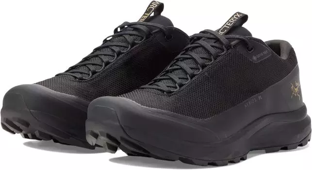 Походная обувь Aerios FL 2 GTX Arc'teryx, цвет Black/Black