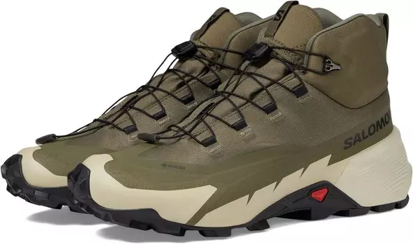 Походная обувь Cross Hike 2 Mid GORE-TEX Salomon, цвет Olive Night Moss Gray Black