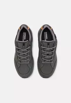 Походная обувь RENEGADE EVO GORE TEX LO Lowa, серый