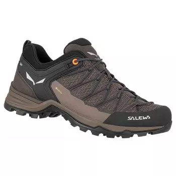 Походная обувь Salewa MTN Trainer Lite Goretex, черный