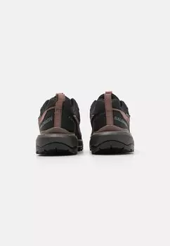 Походная обувь X ULTRA 360 GTX Salomon, коричневый