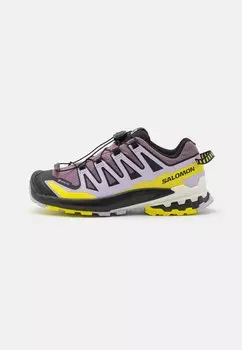 Походная обувь XA PRO 3D V9 GTX Salomon, цвет moonscape/orchid petal/sulphur spring