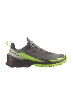 Походные ботинки Cross Over 2 GTX, водонепроницаемые, нескользящие, мужские salomon, цвет Desert Sage Gree