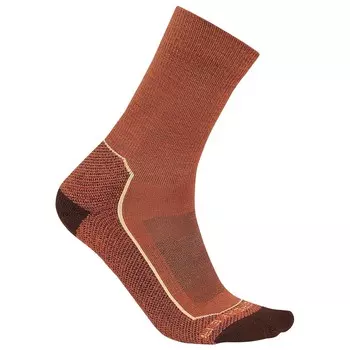 Походные носки Icebreaker Hike+ Light Crew, цвет Cedarwood/Bitter/Sunstone