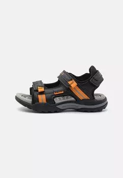 Походные сандалии BOREALIS BOY Geox, черный