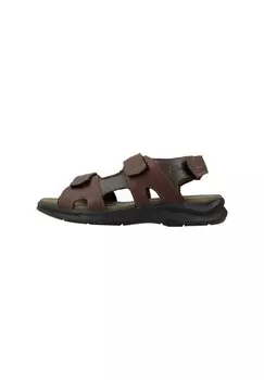 Походные сандалии Clarks, коричневый