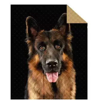 Покрывало Detexpol, черный