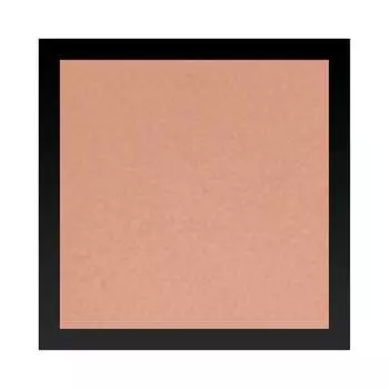 Покрывающая и матирующая пудра для жирной кожи PP #PP04 мягкая глина, Vipera