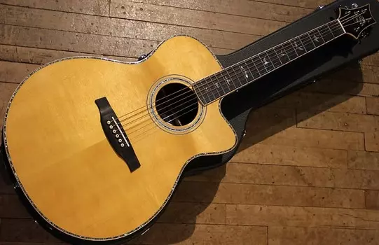 Пол Рид Смит SE A60E PRS