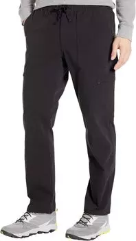 Полевые брюки-карго The North Face, цвет TNF Black