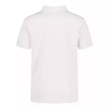 Поло IZOD Performance для мальчиков 4–20 лет в цветах обычный и хаски IZOD, золотой