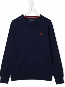 POLO RALPH LAUREN KIDS джемпер с вышитым логотипом, синий