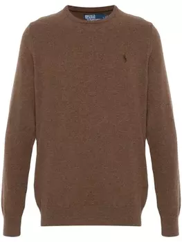 Polo Ralph Lauren свитер с вышивкой Polo Pony, коричневый