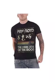 Полосатая футболка Pink Floyd, черный