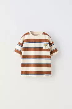 Полосатая футболка с этикеткой ZARA, коричневый