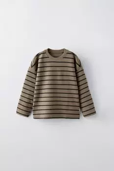 Полосатая футболка с этикеткой ZARA, коричневый/серо-коричневый
