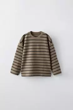 Полосатая футболка с этикеткой ZARA, коричневый/серо-коричневый