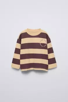 Полосатая вышитая футболка ZARA, фиолетовый