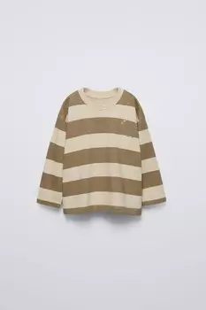 Полосатая вышитая футболка ZARA, коричневый/серо-коричневый