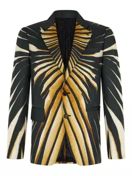 Полосатый блейзер Roberto Cavalli, золотой