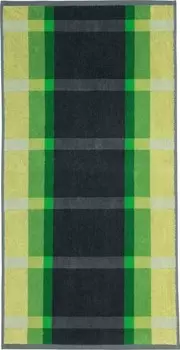 Полотенце Erwin Mller 117848, 50x1x100 см, зеленый