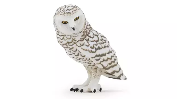 Полярная сова, 6 см Papo