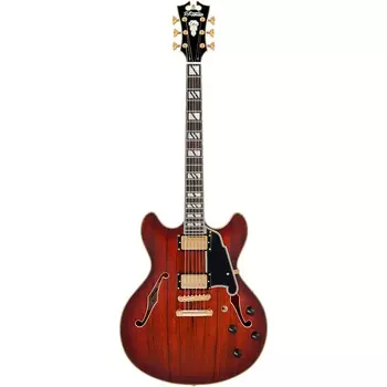 Полуполая электрогитара D'Angelico Deluxe DC Satin Brown Burst