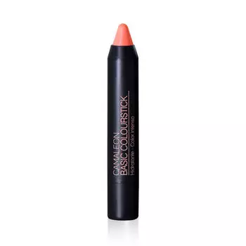 Помада в карандаше телесного цвета, 4 г Camaleon Basic, цвет beowy