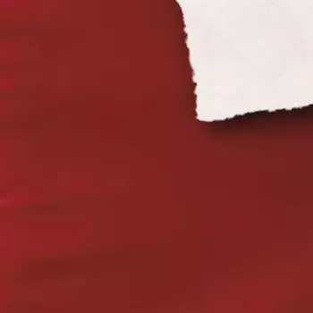 Постельное белье CelinaTex, красный