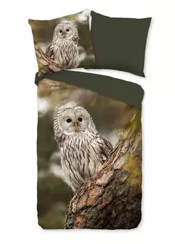 Постельное белье Dream Castle Renforce - Сова 155 x 220 см Сова Traumschloss