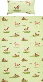 Постельное белье Erwin Mller 206298 2-teilig, 135x1x200 см, зеленый